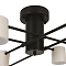 Freya FR6048CL-L8B